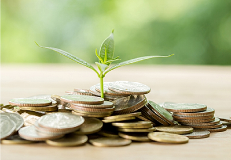 Wie sich trotz Inflation kräftig Geld sparen lässt